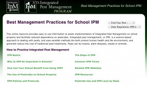BMP webpage homepage