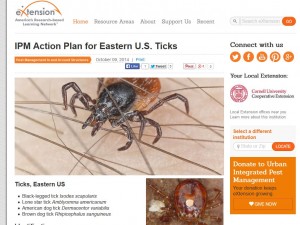 IPM action for ticks from EXtEnsion