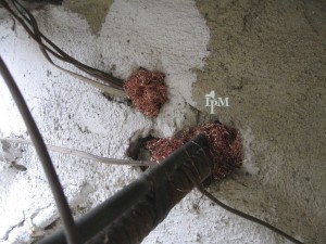 Seal pipe chases entering buildings, between rooms, and under sinks with foam and copper mesh.