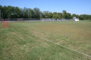 This school soccer field is mostly crabgrass, which starts to decline just as the season begins.