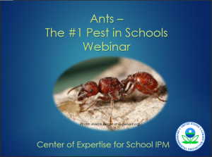 Ants - The #1 Pest in Schools is one of many webinars offered by the EPA Center of Expertise for School IPM.