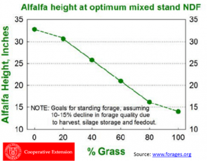 Graph of Alfalfa Height at Optimum Mixed Stand NDF