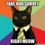 take our survey right meow