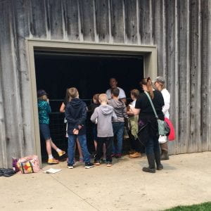 Children learn about beef cattle