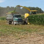 Harvesting corn silage in northern New York