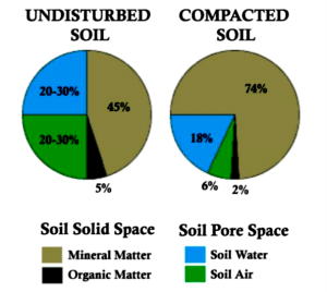 pie charts comparing undisturbed and compacted soils