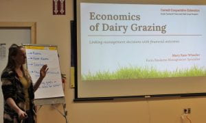 Mary Kate delivers a presentation on the economics of dairy grazing