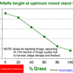 Alfalfa height at optimum mixed stand NDF