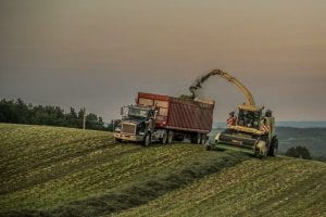Evening haylage harvest