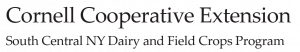 SCNY Logo