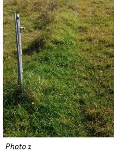 fence line shows soil compaction