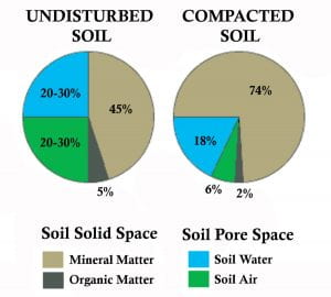 pie charts showing undisturbed soil and compacted soil's mineral matter, organic matter and soil water and soil air percentages