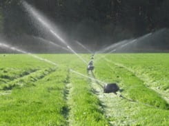 sprinkler system irrigating pasture