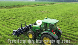 Weed between the lines: Inter-row mowing for weed control in row crops