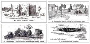 additional Bailey illustrations