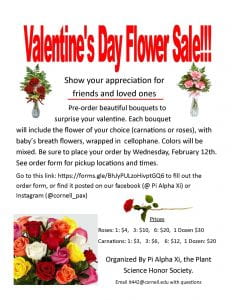 advertisement for valentine flower sale
