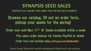 synapsis 2022 seed sales