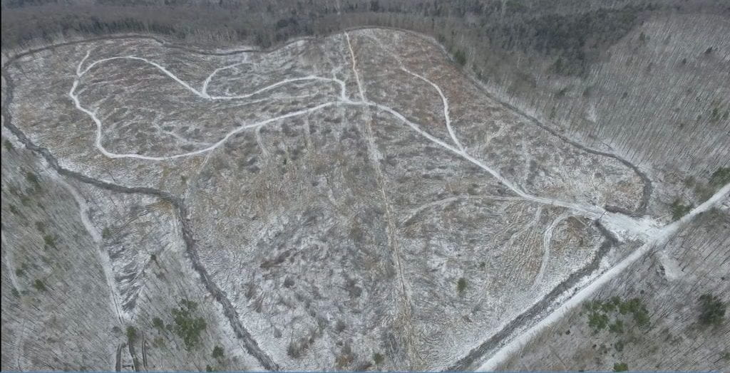This is an aerial picture of the Slash Wall area at the Arnot Forest