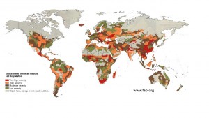 image - fao global soil health