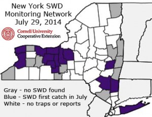 Map of NY Counties showing those with SWD first trap catch as of July 29, 2014. To date, none have SWD sustained trap catch, i.e. two consecutive weeks of SWD catch.