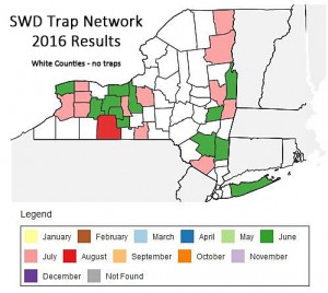Distribution map for SWD, as determined by the SWD network operated by 25 Cornell University and Cornell Cooperative Extension scientists in 25 Counties, monitoring 117 traps.