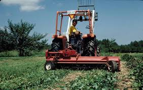 A picture of a tractor and mower renovating a strawberry field.