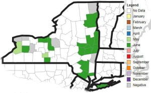 SWD distribution map for NY, June 27, 2019.