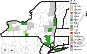 SWD distribution map for New York State, June 20, 2019.