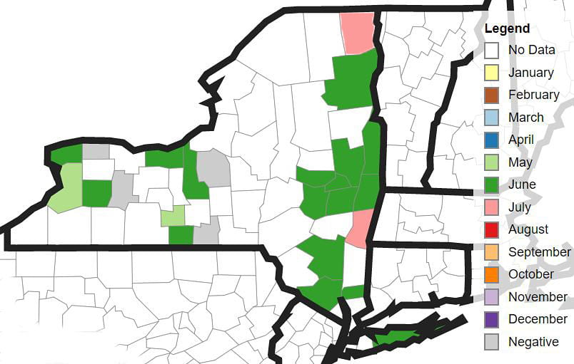 SWD distribution map for NY, July 4, 2019.