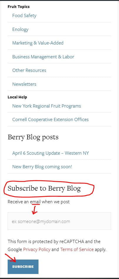 A screen shot showing the subscribe area of the Berry Blog page.