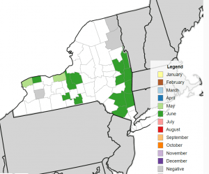 Map of NY state showing where SWD has been found in 2022.