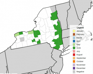 NY state map showing month when SWD was first trapped in 2022.