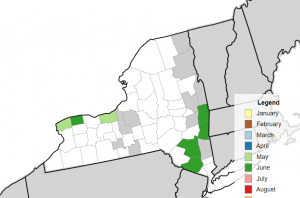 Map of NY showing that SWD has been trapped in the south east and north west corners of the states. 