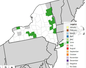 Map with some counties marked in green to designate SWD trap catch