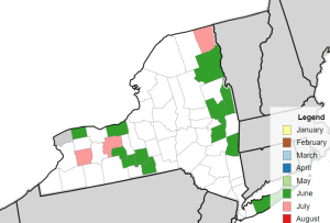 Map of New York state with color coded SWD trap catch