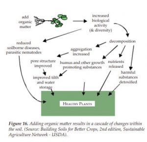 An illustration showing the benefits of organic matter addition to the soil. 