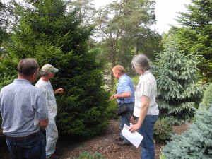 Growers taking notes on new tree species they may want to add to their plantings at Cornell Plantations. 