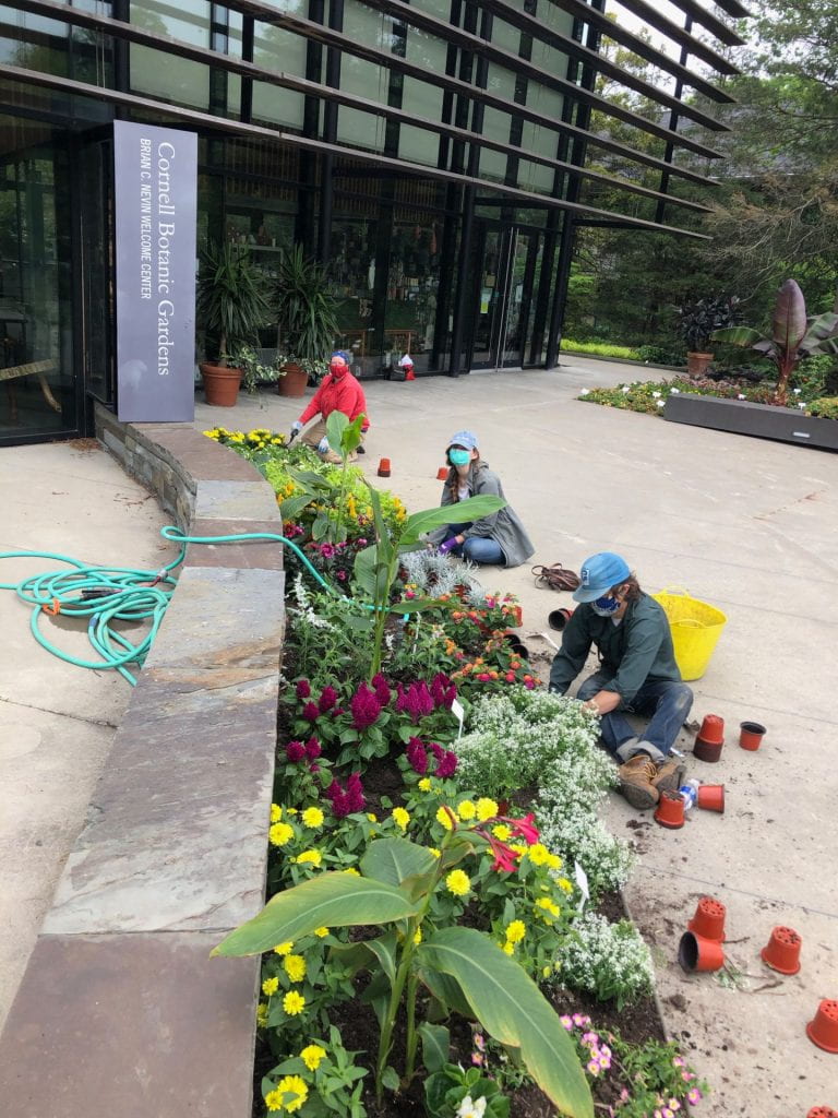The 2020 planting crew outside the Nevin Welcome Center at the Cornell Botanic Gardens