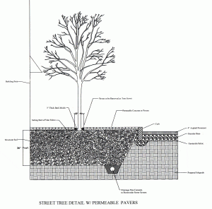 Street tree detail with permeable pavers