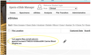 Aperio Eslide Manager showing file Courses, VTMED 5100, Blood folder
