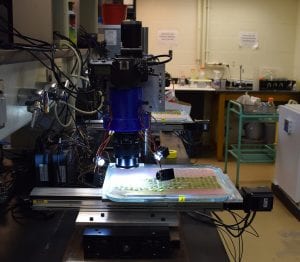 Robot phenotyping powdery mildew resistance