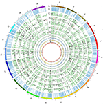 2000 rHampSeq markers of the Vitis core genome markers