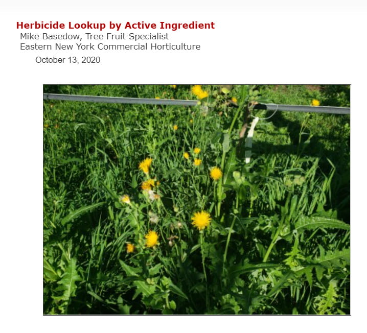 Screenshot of CCE Eastern Horticulture herbicide lookup landing page