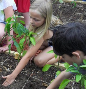 Students in Arkansas work in their new school garden.