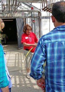 Kathy Howard, Dept. of Crop and Soil Sciences, discussing grasses with participants