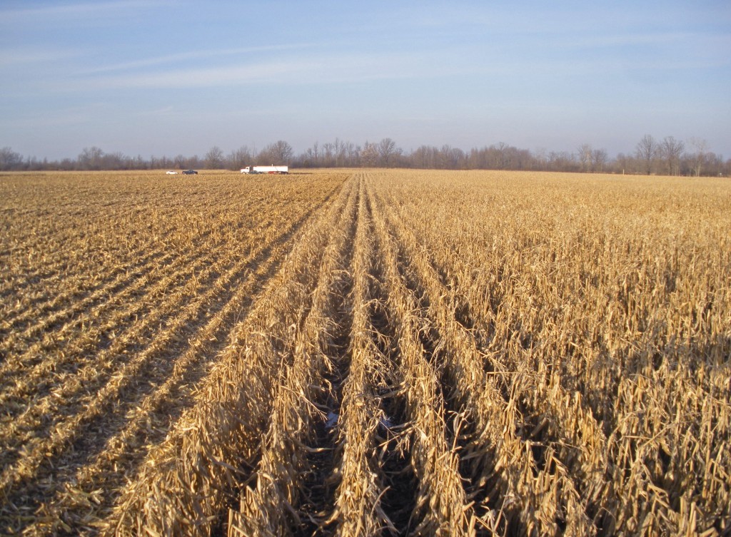 November 2012 Corn and Soybean harvest 067