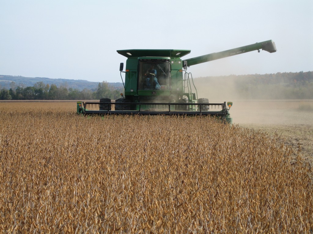 soybean harvest-Henry 014