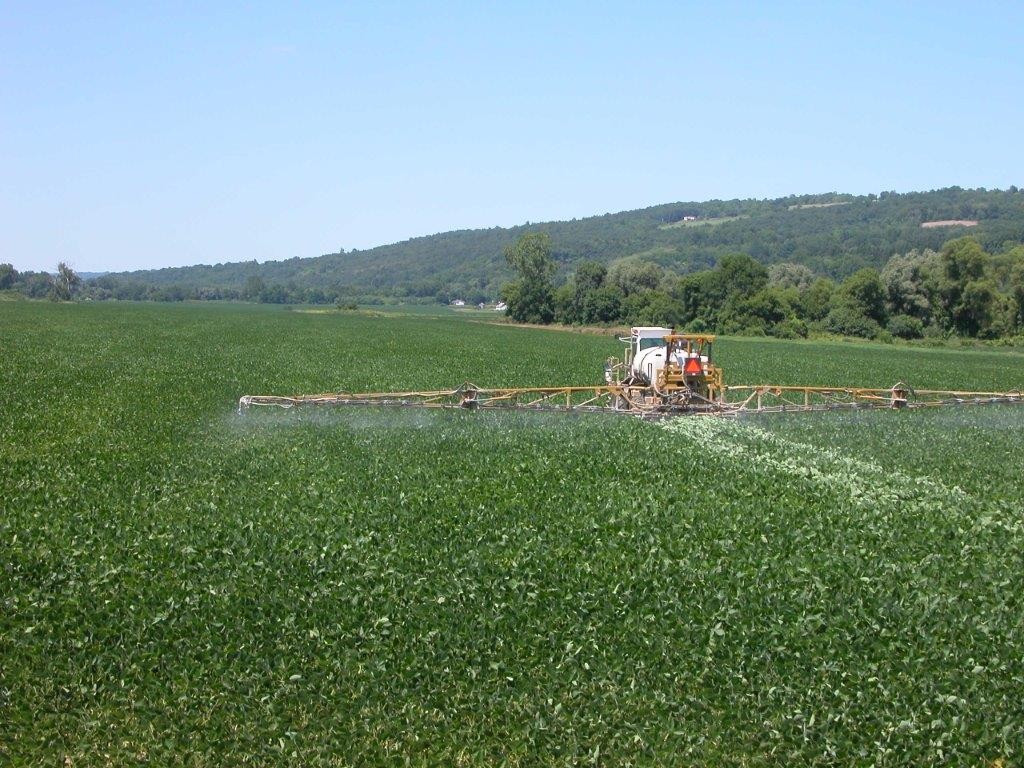 Photo: Spraying a pesticide at the R3 stage results in mechanical damage to soybeans, especially drilled soybeans in 7.5 inch rows.