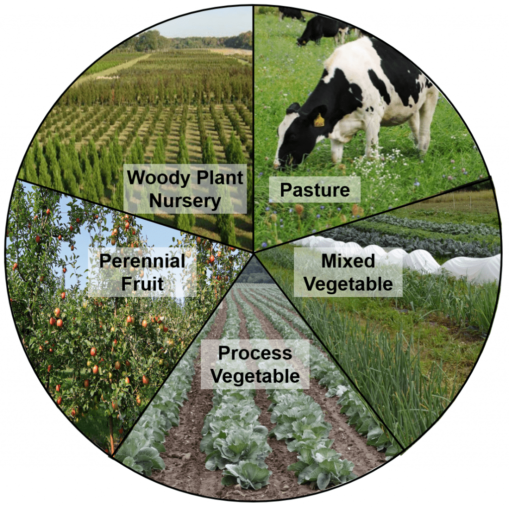composite image containing plants and a cow