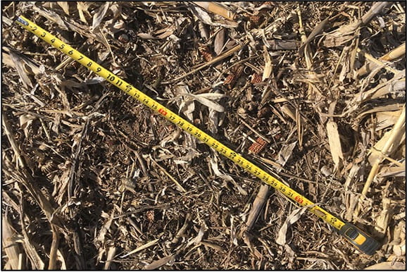 Agricultural field with residue and tape measure